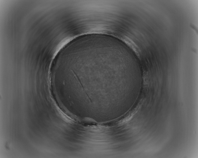 X0000097511077200803071819