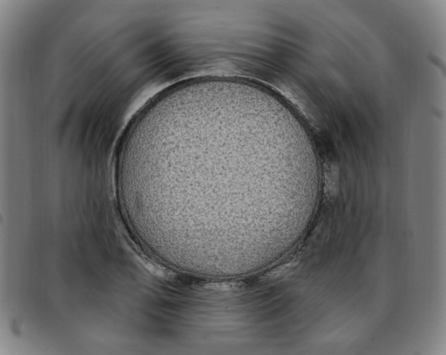 X0000097511078200803071819