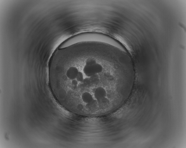 X0000097511079200803071819