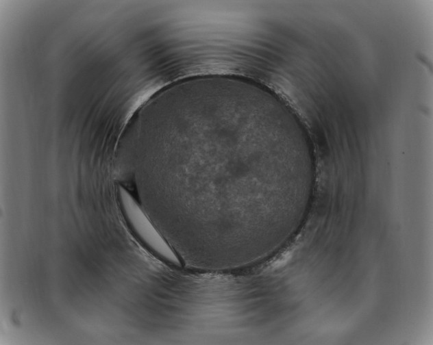 X0000097511081200803071819