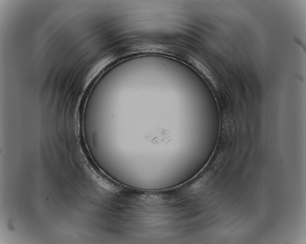 X0000097511082200803071819