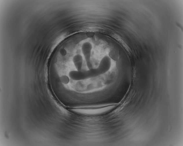 X0000097511083200803071819