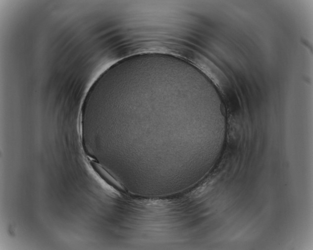 X0000097511084200803071819