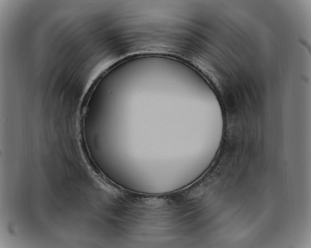 X0000097511085200803071819