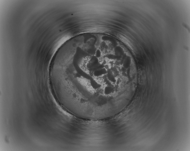 X0000097511087200803071819