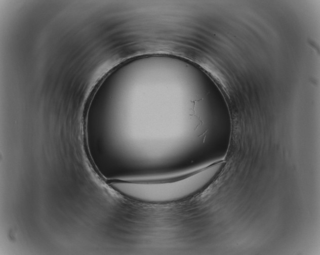 X0000097511088200803071819