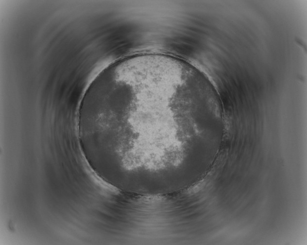 X0000097511090200803071819