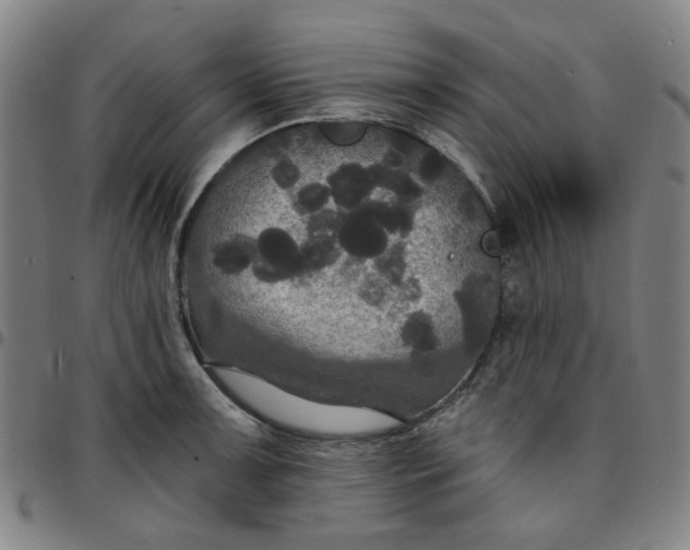 X0000097511091200803071819