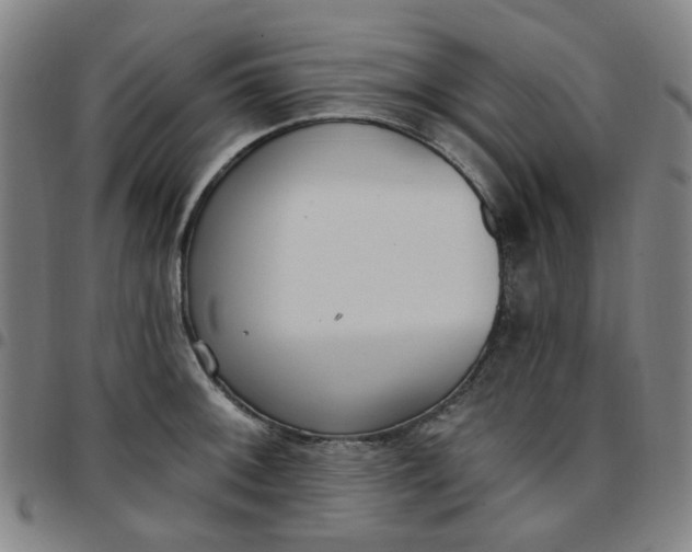 X0000097511092200803071819