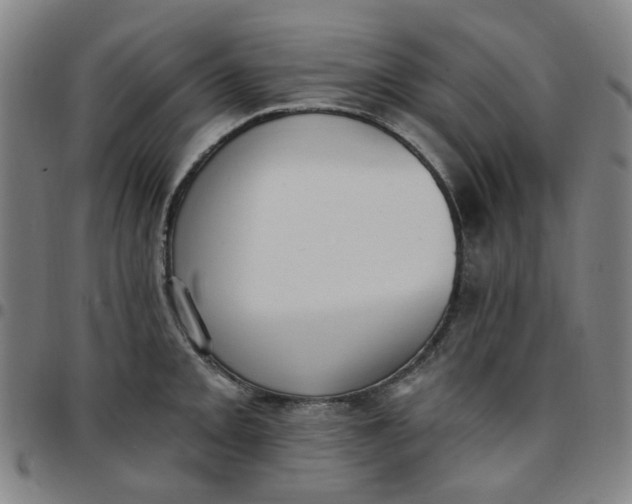 X0000097511093200803071819