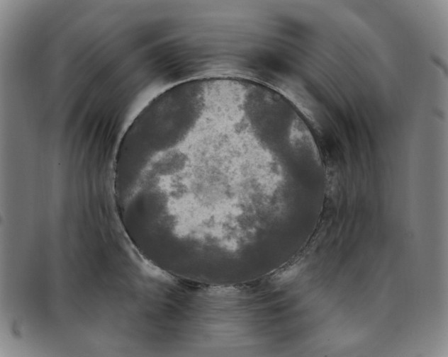 X0000097511094200803071819