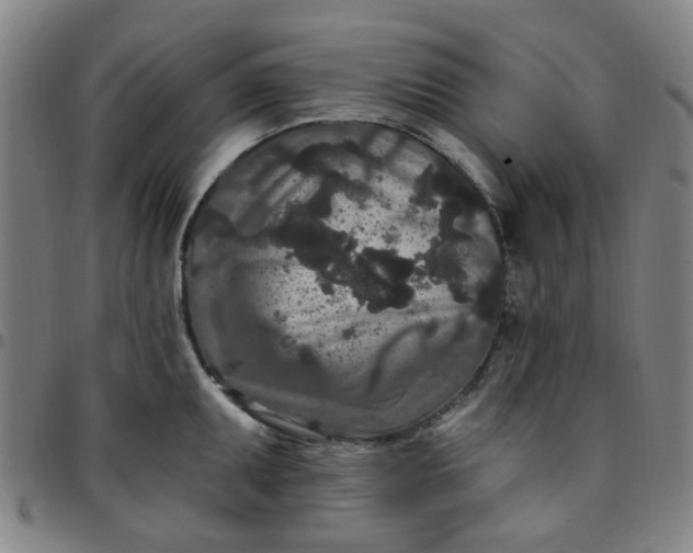 X0000097511095200803071819