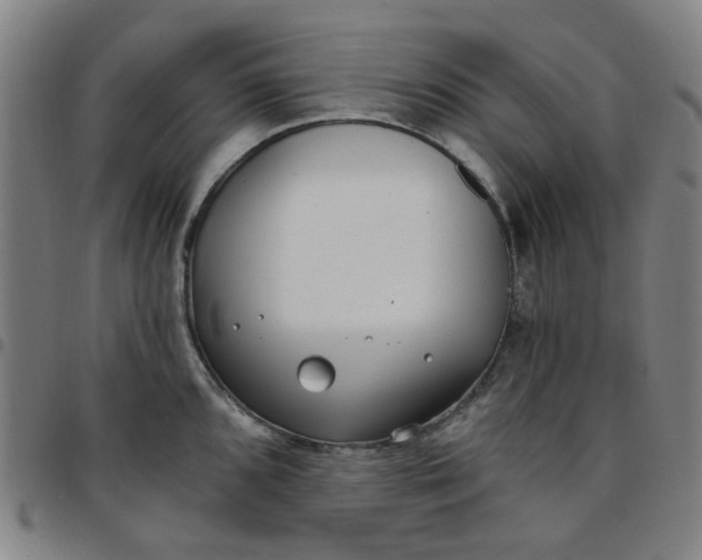 X0000097511096200803071819