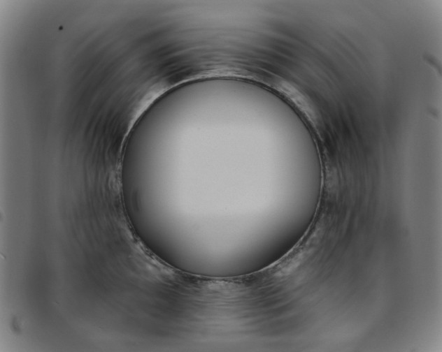 X0000097511097200803071819