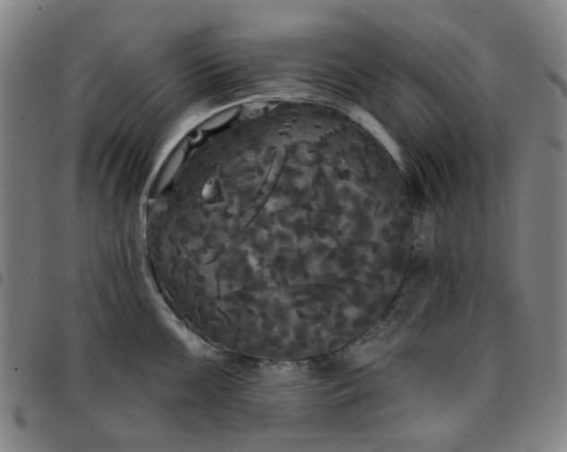 X0000097511099200803071819