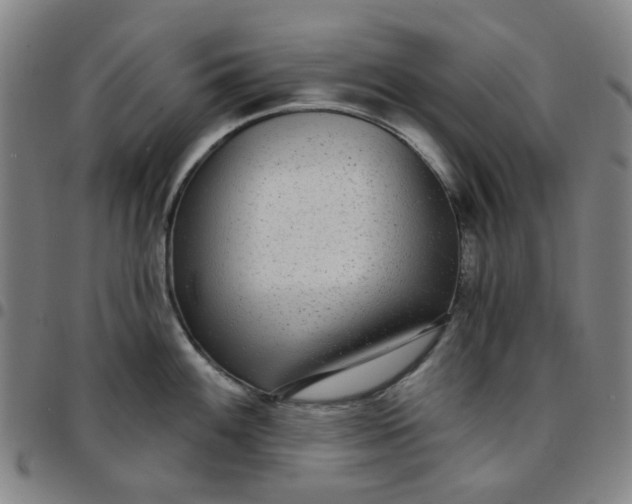 X0000097511100200803071819