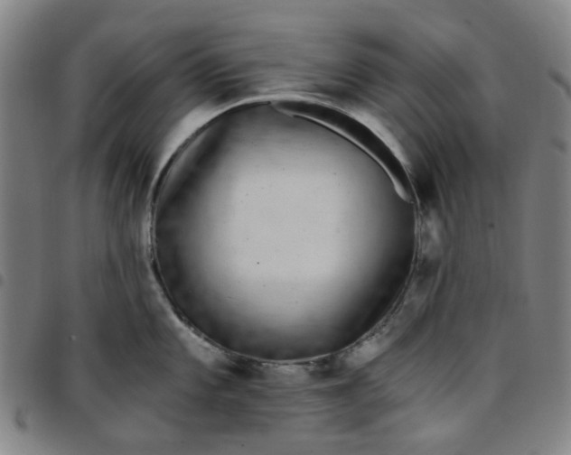 X0000097511101200803071819