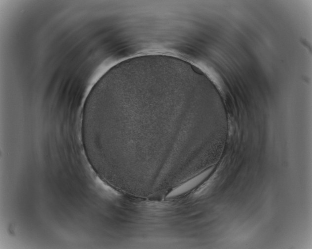 X0000097511102200803071819