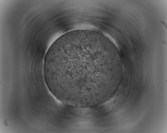 X0000097511103200803071819