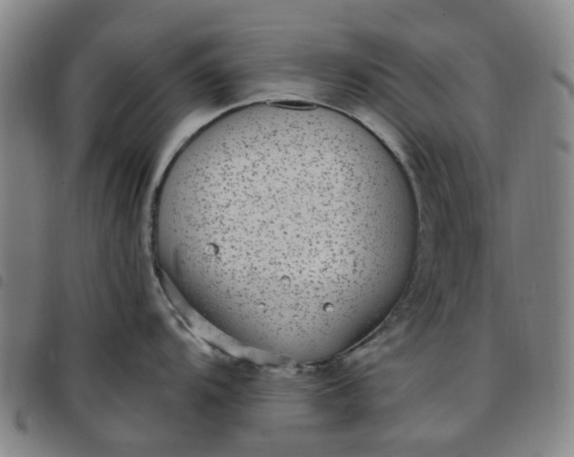 X0000097511104200803071819