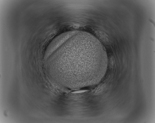 X0000097511105200803071818