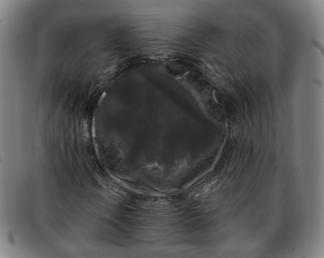 X0000097511106200803071818