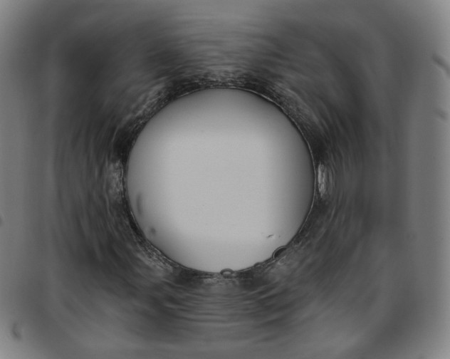 X0000097511107200803071818