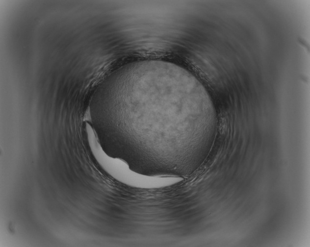 X0000097511108200803071818