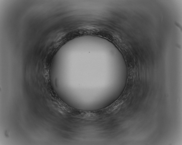 X0000097511109200803071818