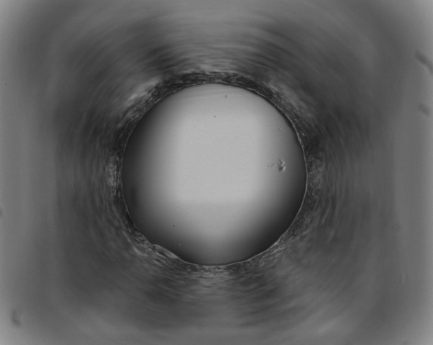 X0000097511110200803071818