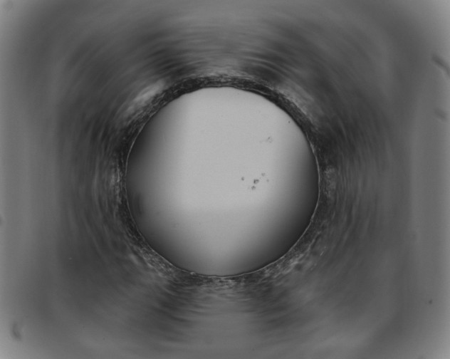 X0000097511111200803071818