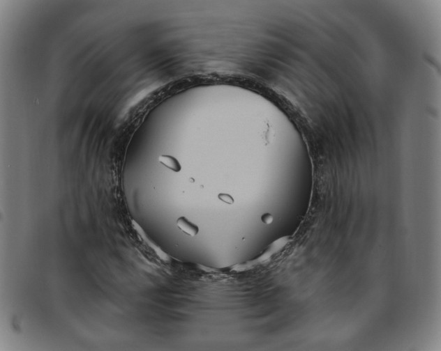 X0000097511112200803071818