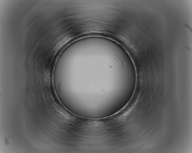 X0000097511113200803071818