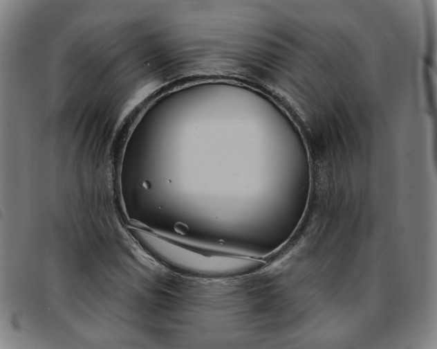 X0000097511114200803071818