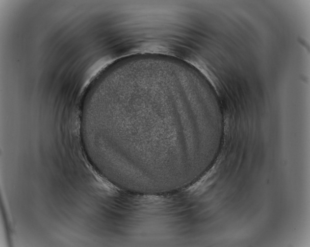 X0000097511115200803071818