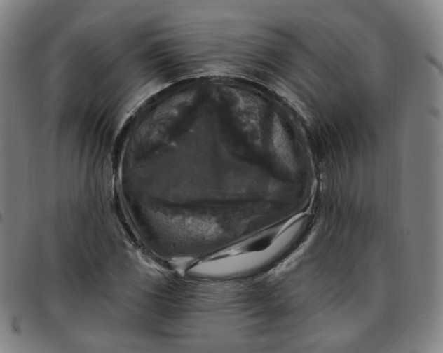 X0000097511117200803071818