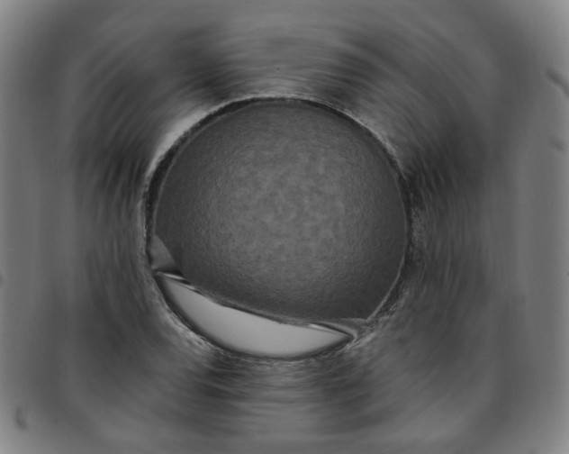 X0000097511120200803071818