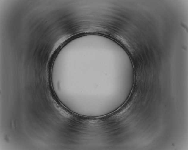 X0000097511122200803071818