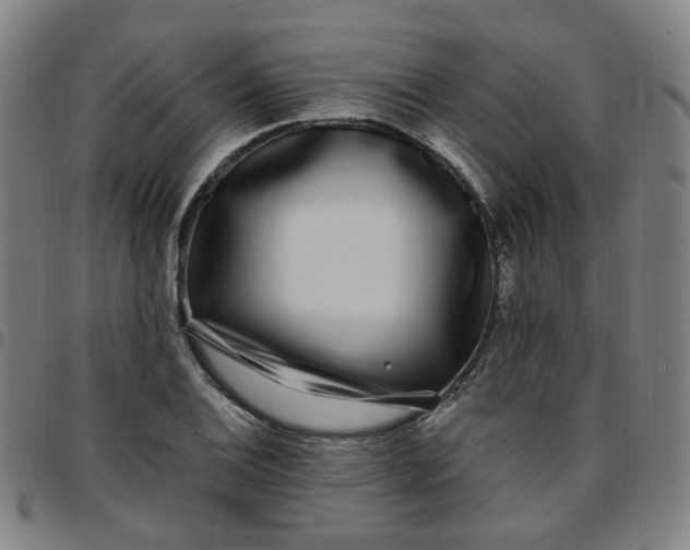 X0000097511124200803071818