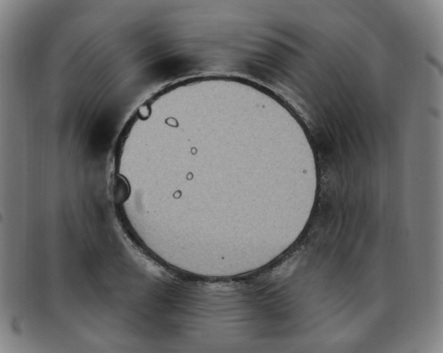 X0000097511126200803071818