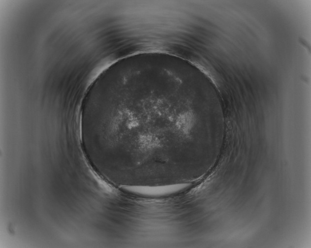 X0000097511127200803071818