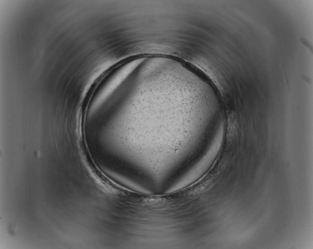 X0000097511128200803071818