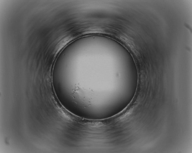 X0000097511129200803071818