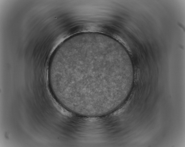 X0000097511130200803071818