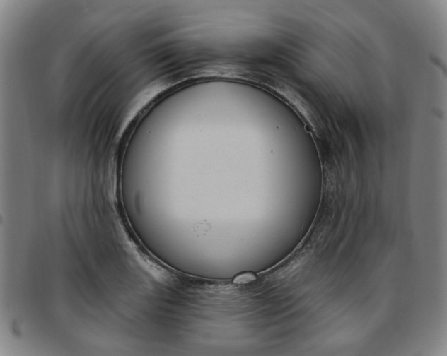 X0000097511131200803071818