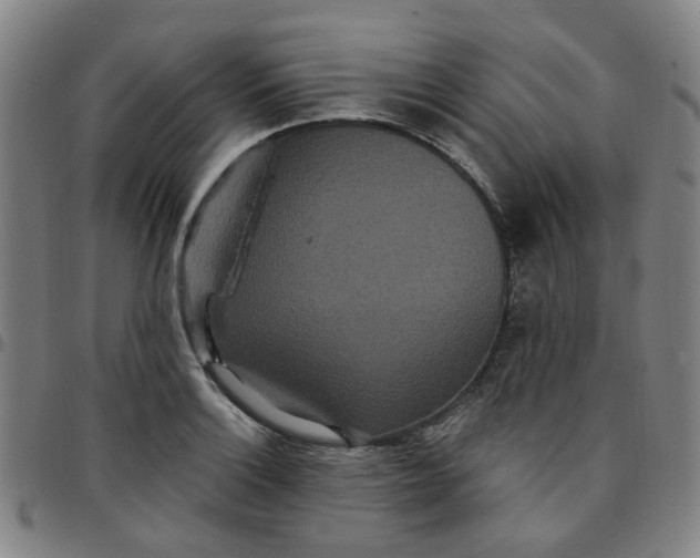 X0000097511132200803071818