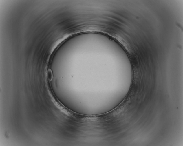 X0000097511134200803071818