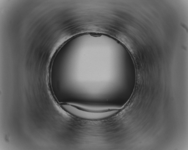 X0000097511136200803071818