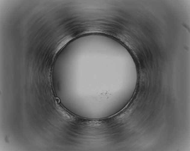 X0000097511137200803071818