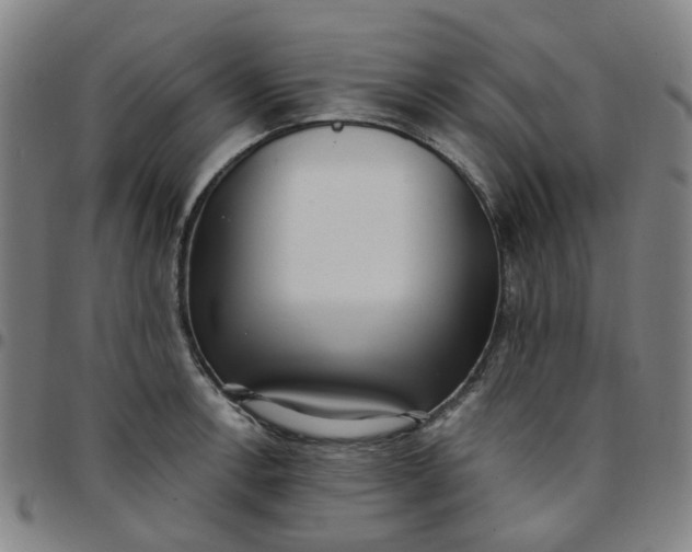 X0000097511138200803071818